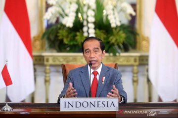 Presiden Jokowi sampaikan 3 pandangan pada KTT Perubahan Iklim