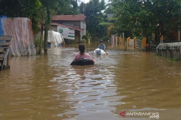 1.006 KK di Pekanbaru dievakuasi akibat banjir