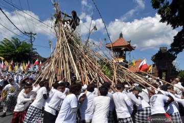 Tradisi Mekotek di Bali saat Hari Raya Kuningan