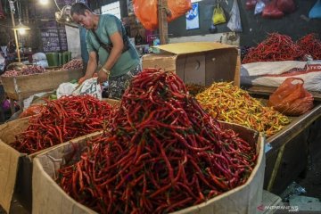 Harga pangan DKI catat cabai merah besar turun jadi Rp37.781 per kg