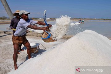 Pemerintah genjot pengembangan pabrik garam industri, kurangi impor