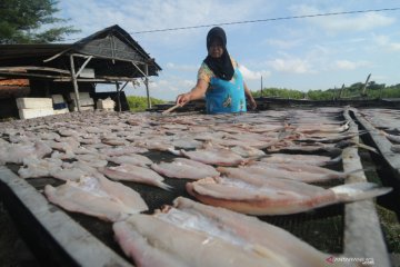 Permintaan ikan kering menurun di bulan Ramadhan