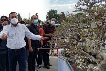 Bupati Gianyar buka pameran bonsai berskala nasional