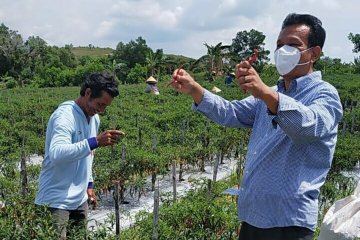 Anggota DPD berharap RUU Daerah Kepulauan segera disahkan