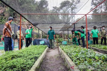 BNF beri pelatihan pembibitan guna sukseskan program sejuta pohon