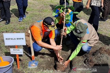 BNPB: Indonesia butuh jutaan pohon untuk ditanam di pantai