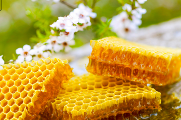 Mengenal madu manuka, asal hingga manfaat