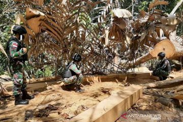 Satgas Pamtas amankan kayu olahan ilegal di perbatasan RI-Malaysia