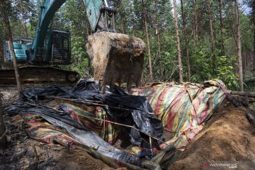 Penutupan Sumur Minyak Ilegal Di Muba