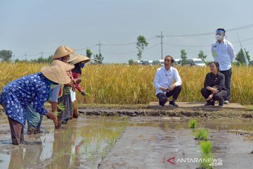 Presiden tinjau lokasi terdampak gempa di Kabupaten Malang