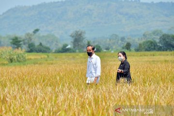 Puan: DPR maksimalkan fungsi pengawasan majukan pertanian