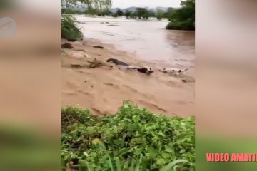 BMKG: waspadai dampak siklon Seroja beberapa hari ke depan