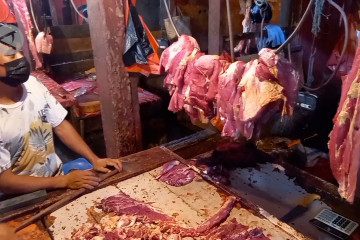 Bulog Sulteng datangkan 7,5 ton daging kerbau beku dari DKI