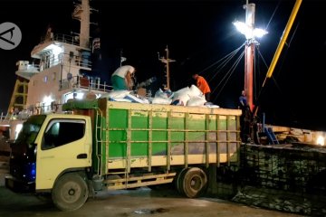 Gubernur Babel minta optimalkan waktu bongkar muat di pelabuhan