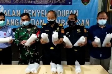 Bea Cukai Juanda gagalkan penyelundupan 80.000 benih lobster