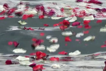PDIP Bali tabur bunga ke laut untuk 53 awak KRI Nanggala