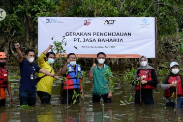 Relawan tanam mangrove untuk tempat hidup bekantan