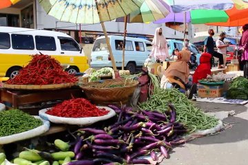 Kenaikan tarif rumah sakit picu inflasi Sumbar