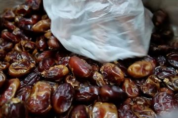 Inilah alasan kurma menjadi opsi penting berbuka puasa