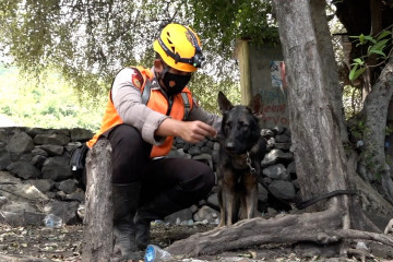 Mengenal Balo, anjing pelacak pencari korban bencana di Lembata