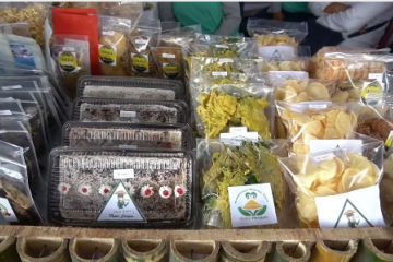 Kemenko Perekonomian dorong petani Lembang ekspor hortikultura