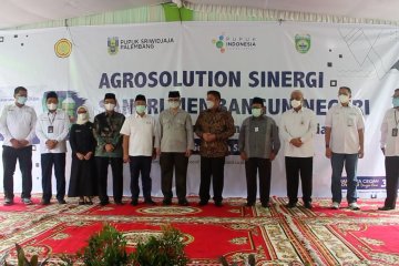 Agro Solution solusi peningkatan produktivitas hasil pertanian Sumsel