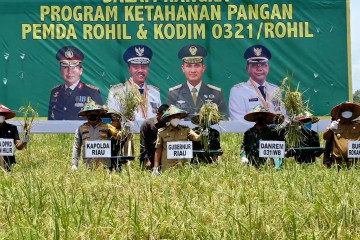 Komitmen Riau untuk miliki produk pertanian unggulan