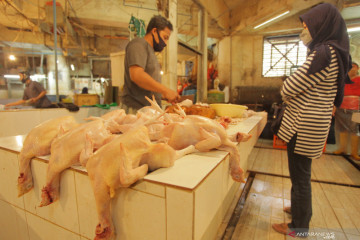 Harga telur dan daging ayam Jakarta turun karena pasokan melimpah