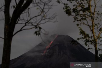 Gunung Merapi mengalami 39 kali gempa guguran