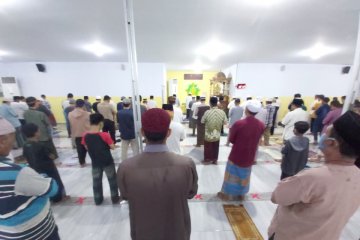 Pasien COVID-19 sembuh di Sulteng bertambah menjadi 11.416 orang