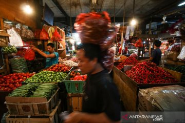 Harga pangan di Jakarta terpantau fluktuatif saat PPKM Darurat