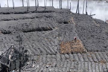 Pascaerupsi kawah Sileri