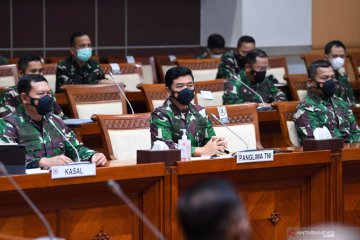 TNI gelar sejumlah operasi keamanan di Papua