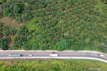 Jalan Lintas Sumatera Jambi-Riau sepi