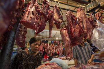 Jelang Idul Adha, harga daging sapi di DKI turun Rp1.686 per kilogram