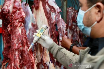 Dekati Lebaran, penyembelihan sapi di Banyuwangi naik 200 persen