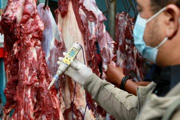 IPB University ingatkan warga waspada beli daging agar tak kecolongan