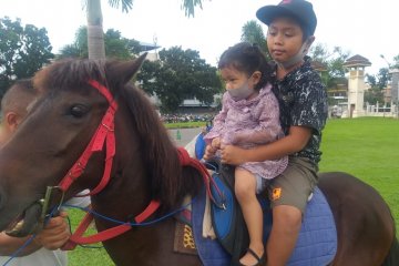 Kuda sewa di Istana Maimun Medan kurang diminati pengunjung