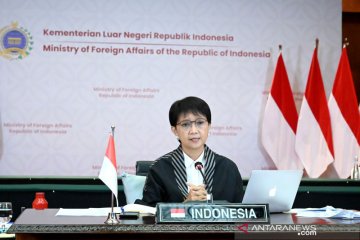 Indonesia akan terus dukung perjuangan Palestina: Menlu RI