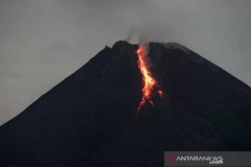 Gunung Merapi meluncurkan guguran lava pijar sejauh 1 Km