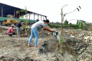 Program Merah Putih Hijau tanam pohon Bambu di TPA Temesi Gianyar-Bali