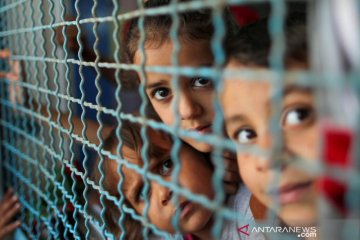 WHO menyerukan jeda kemanusiaan untuk salurkan bantuan ke Gaza