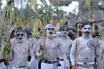 Warga Gianyar gelar Tradisi Ngerebeg di tengah pandemi COVID-19