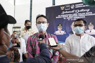 Tingkatkan perdagangan gambir, Kemendag dorong implementasi SRG