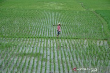 Pemerintah perlu perluas pendidikan-pelatihan bagi petani