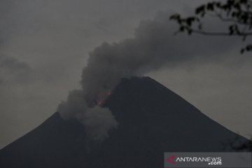Awan panas Gunung Merapi