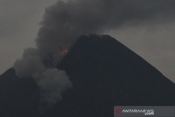 Awan panas guguran Gunung Merapi meluncur sejauh 3 km