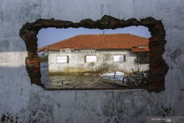 Rumah warga terdampak abrasi laut di Pekalongan