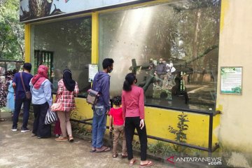 Taman Satwa Taru Jurug targetkan 2.000 pengunjung pada libur Waisak