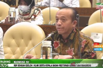 KLHK targetkan pemulihan lahan DAS 35.000 ha pada 2022